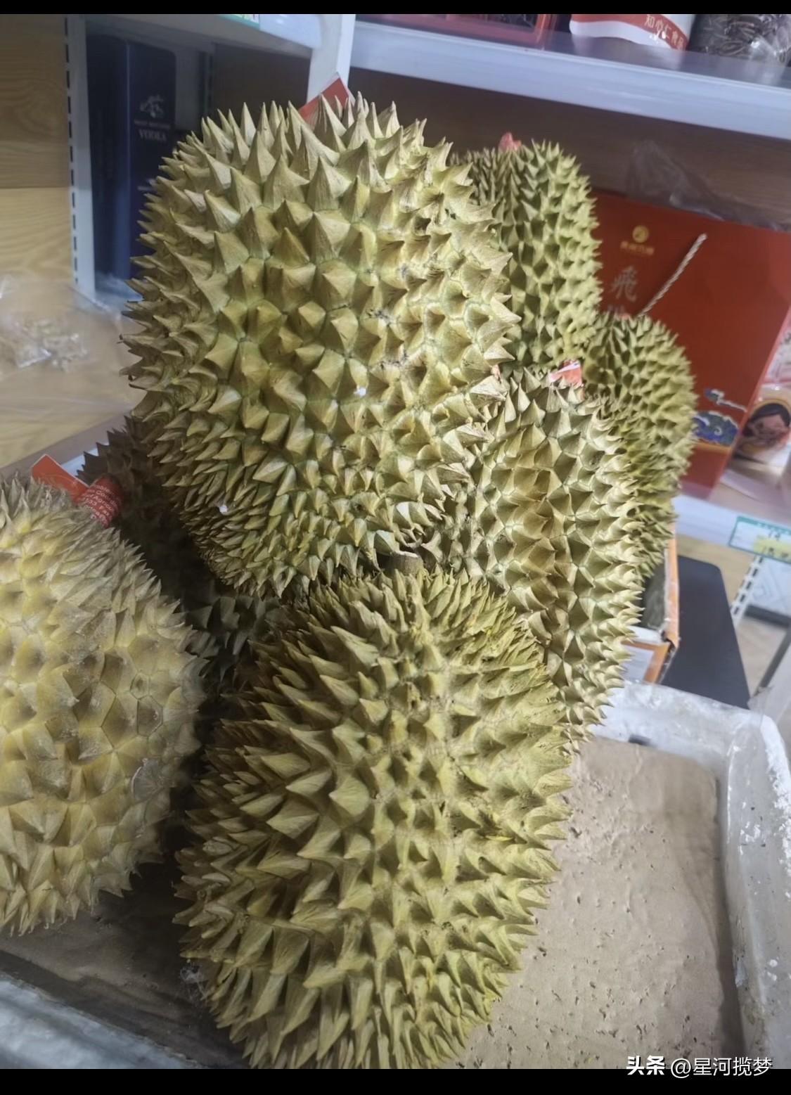 逛超市时，是不是总觉得那儿的榴莲长得“歪瓜裂枣”？其实这背后有原因。榴莲生长过程