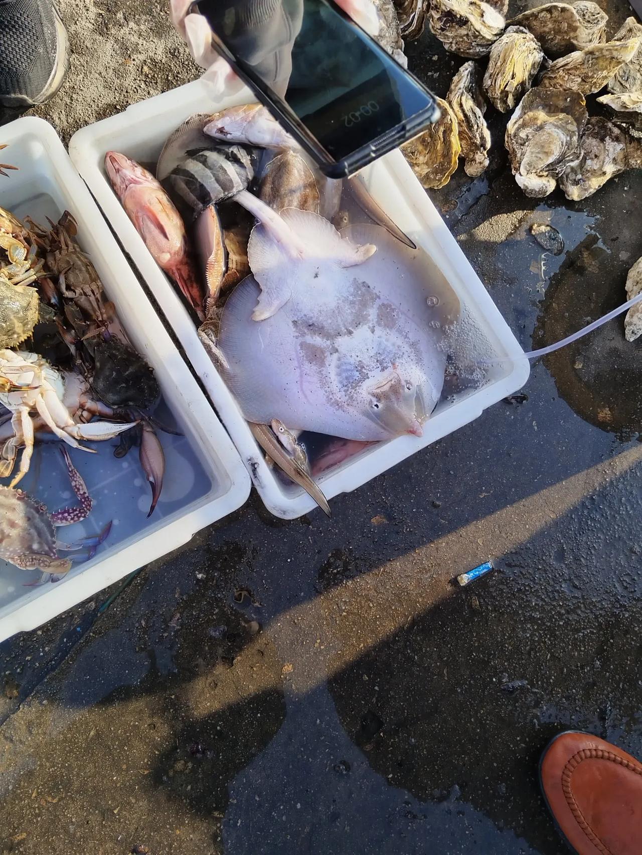 海边有卖海鲜的，一问价格高出市场好多，朋友说都是市场批发来的，说鱼的大小都差不多