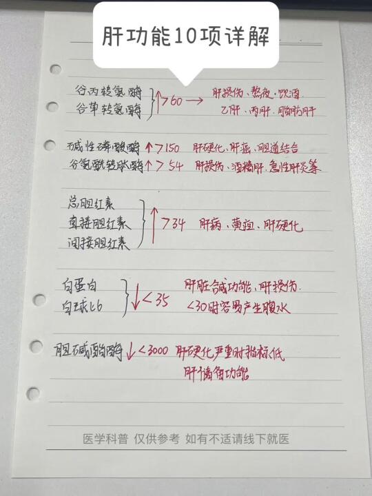 肝功能10项详解