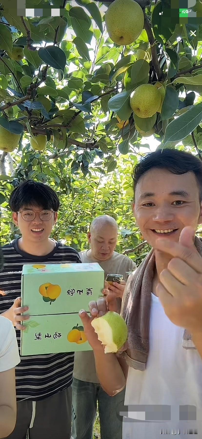 厉怀远一大早就带着弟弟金牌在梨树地里就开直播了！历爸在后面当背景！厉怀远带领全家