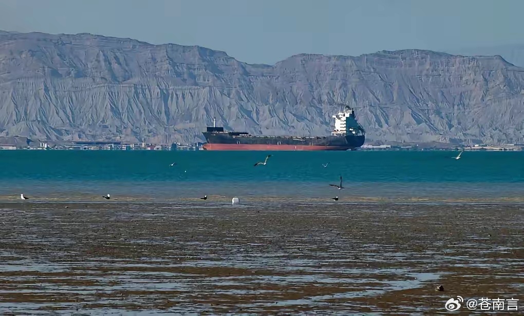 日本船首次通过霍尔木兹海峡这艘船跑出来的时机太特殊了。现在霍尔木兹海峡被伊朗死死