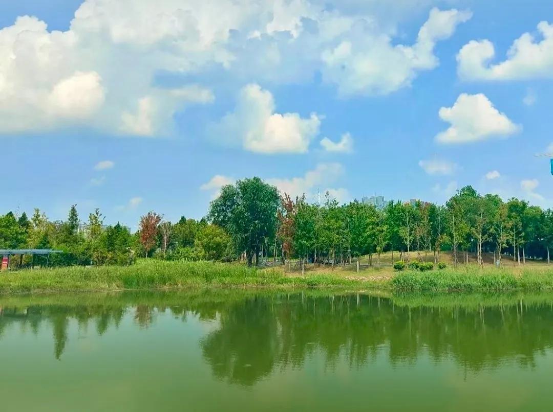 快来看看我新换的主页背景吧