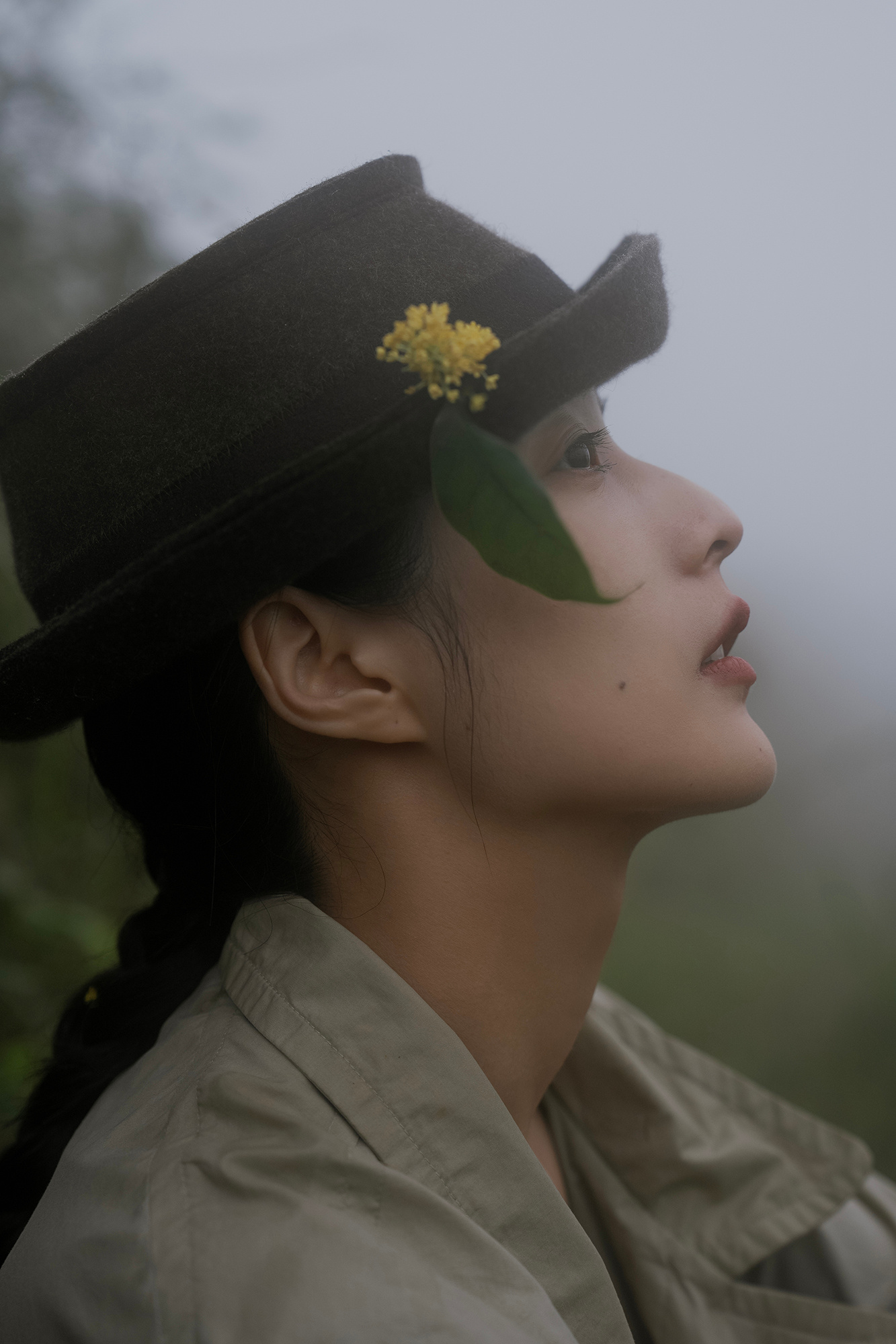 以山的形式 以雾的气质- ​​​