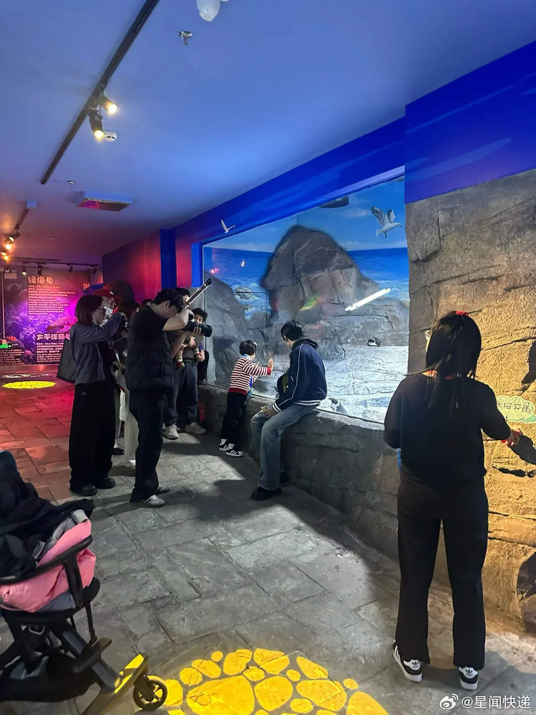 海洋馆偶遇陈哲远3月7日上海长风海洋世界偶遇陈哲远拍摄物料！生图状态依旧能打，脸