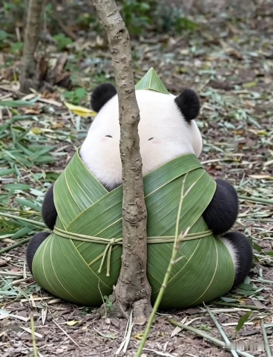 这是什么粽子？