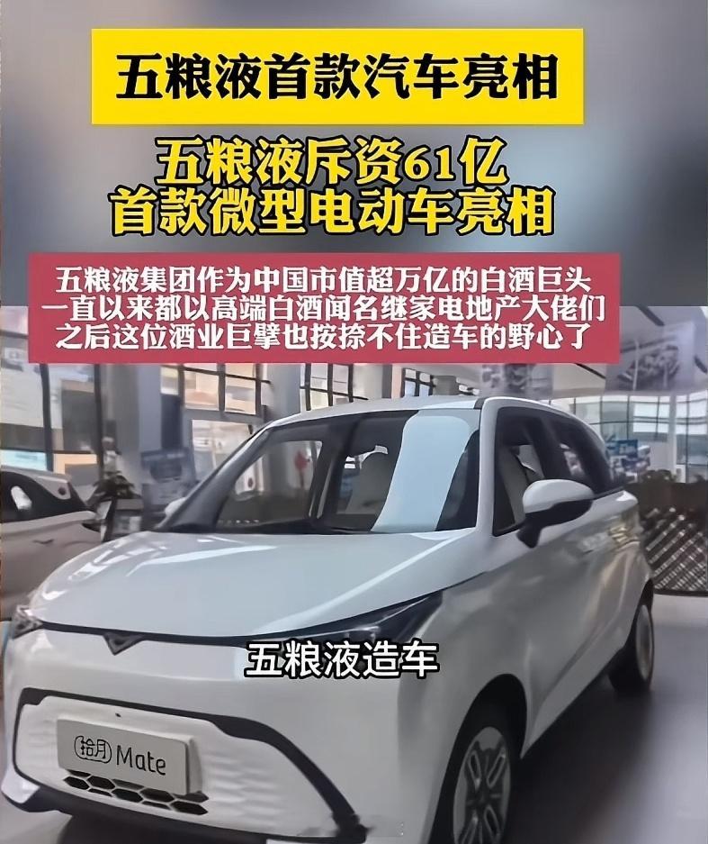 五粮液造车 造车有那么赚钱吗？都在抢造车的蛋糕，到底是不是为了吃国补的蛋糕？ ​