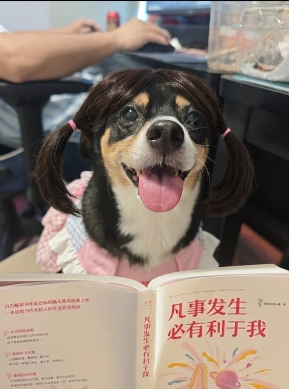 扎小辫的豆