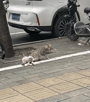 如果真的是人为，那这人真的没人性～