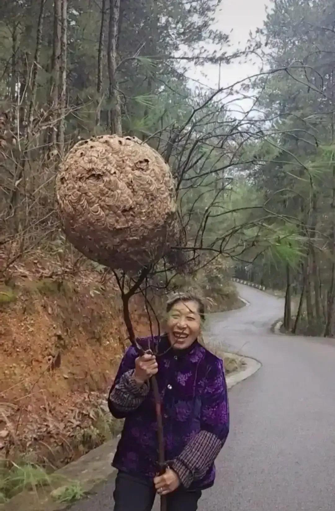 这大姨胆子够大