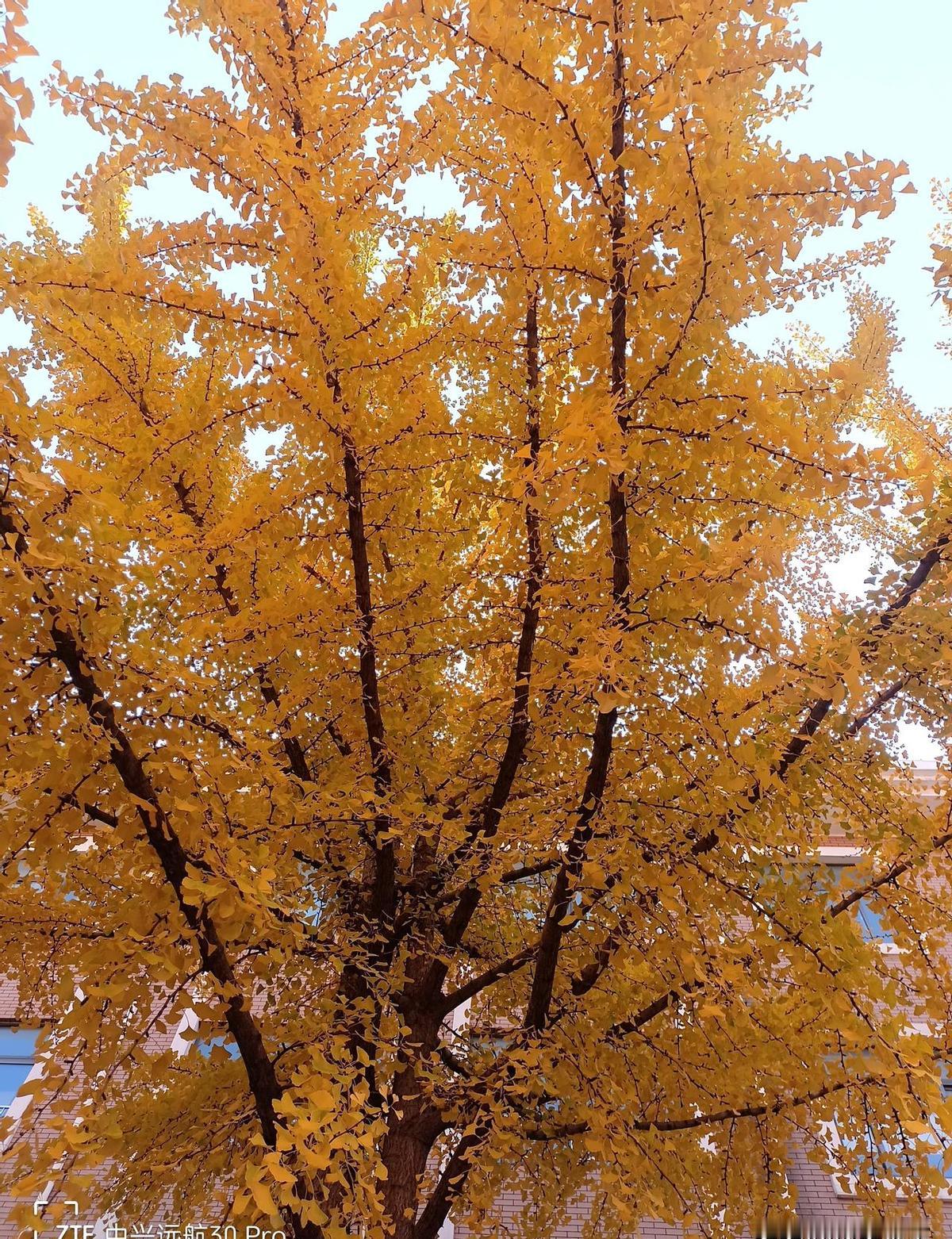 都在说“五险一金”是打工人的护身符，可要是这张符贴在不到3000块的工资条上，这