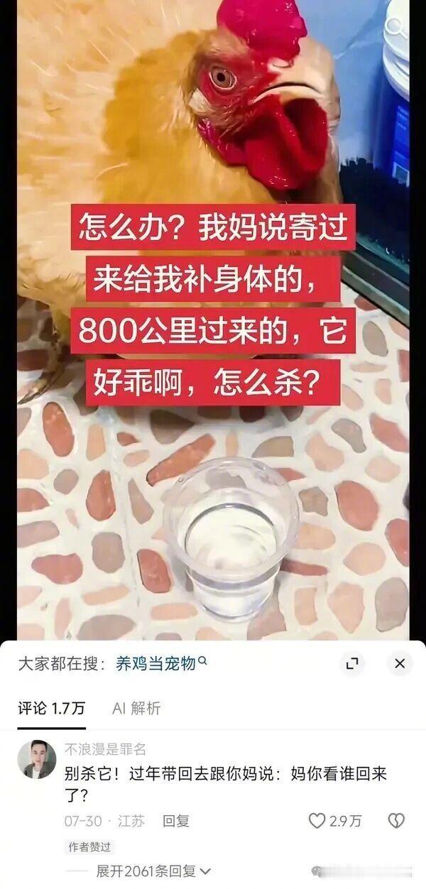 牵条绳带着她出去逛街，做整条街最亮的仔。 ​​​