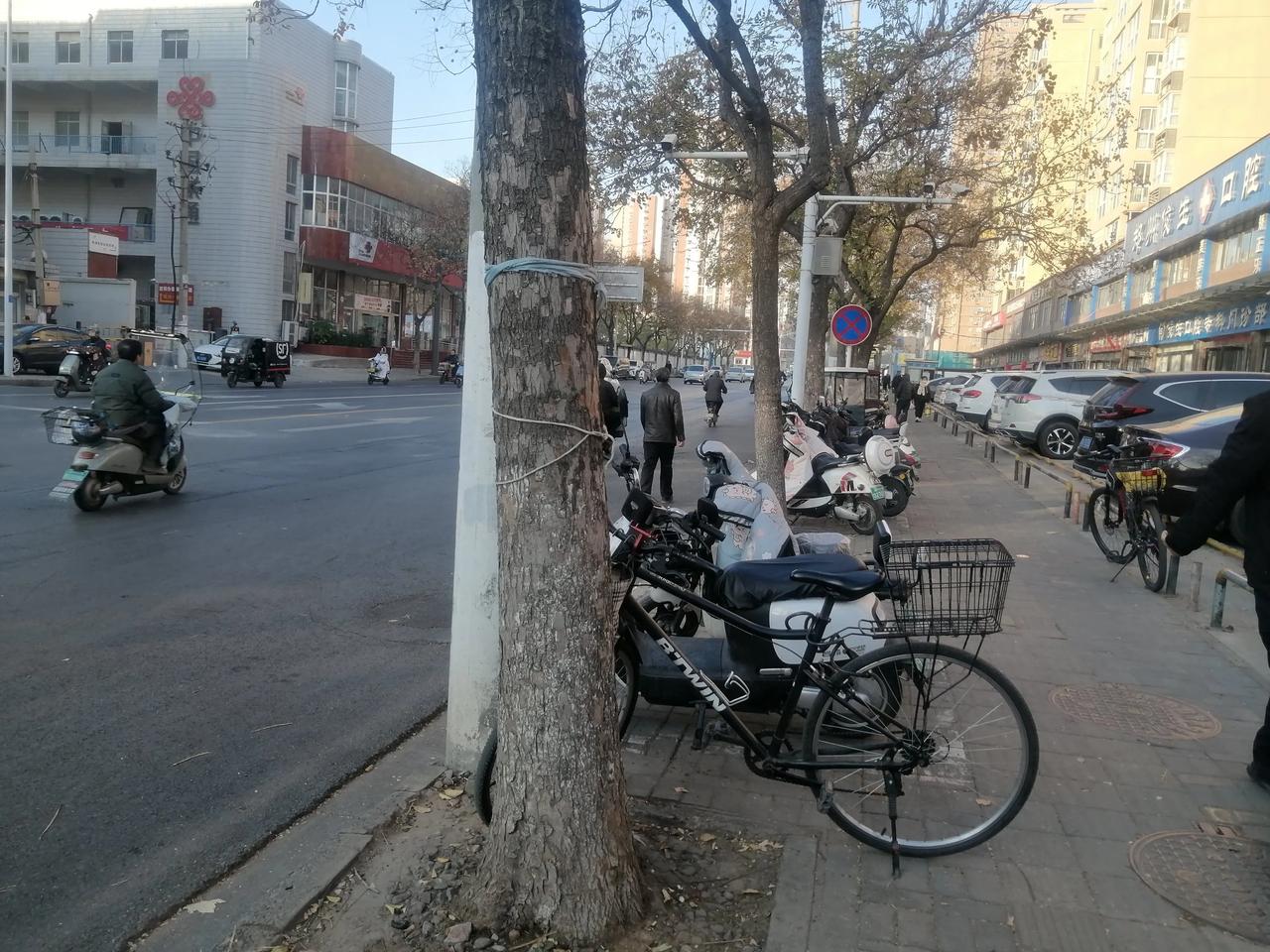 公园好景色。