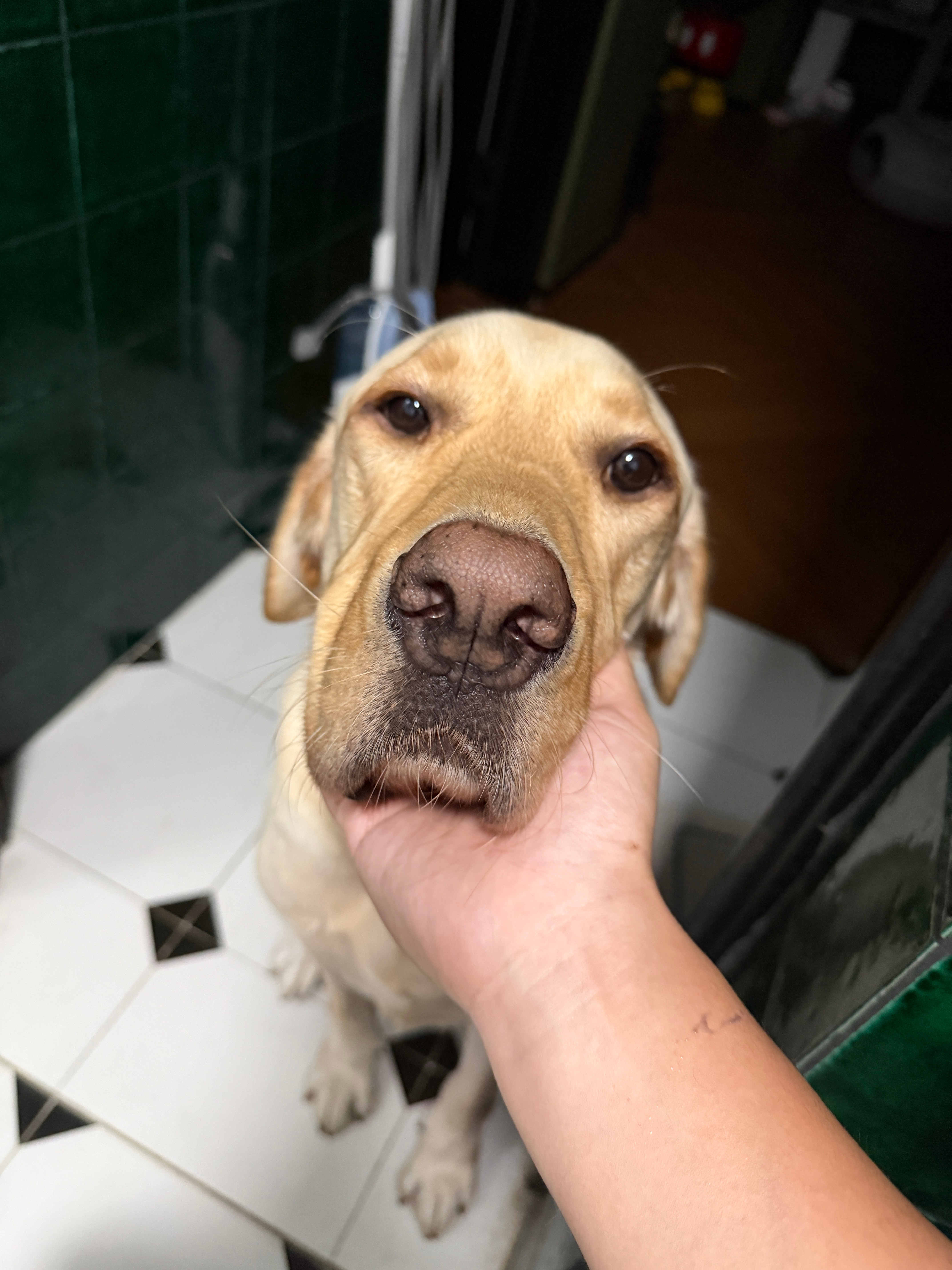 早依旧早班机去机场赶在全运会七点半限行前出华快今儿换了个瓦罐搭子，开S9T来的咱