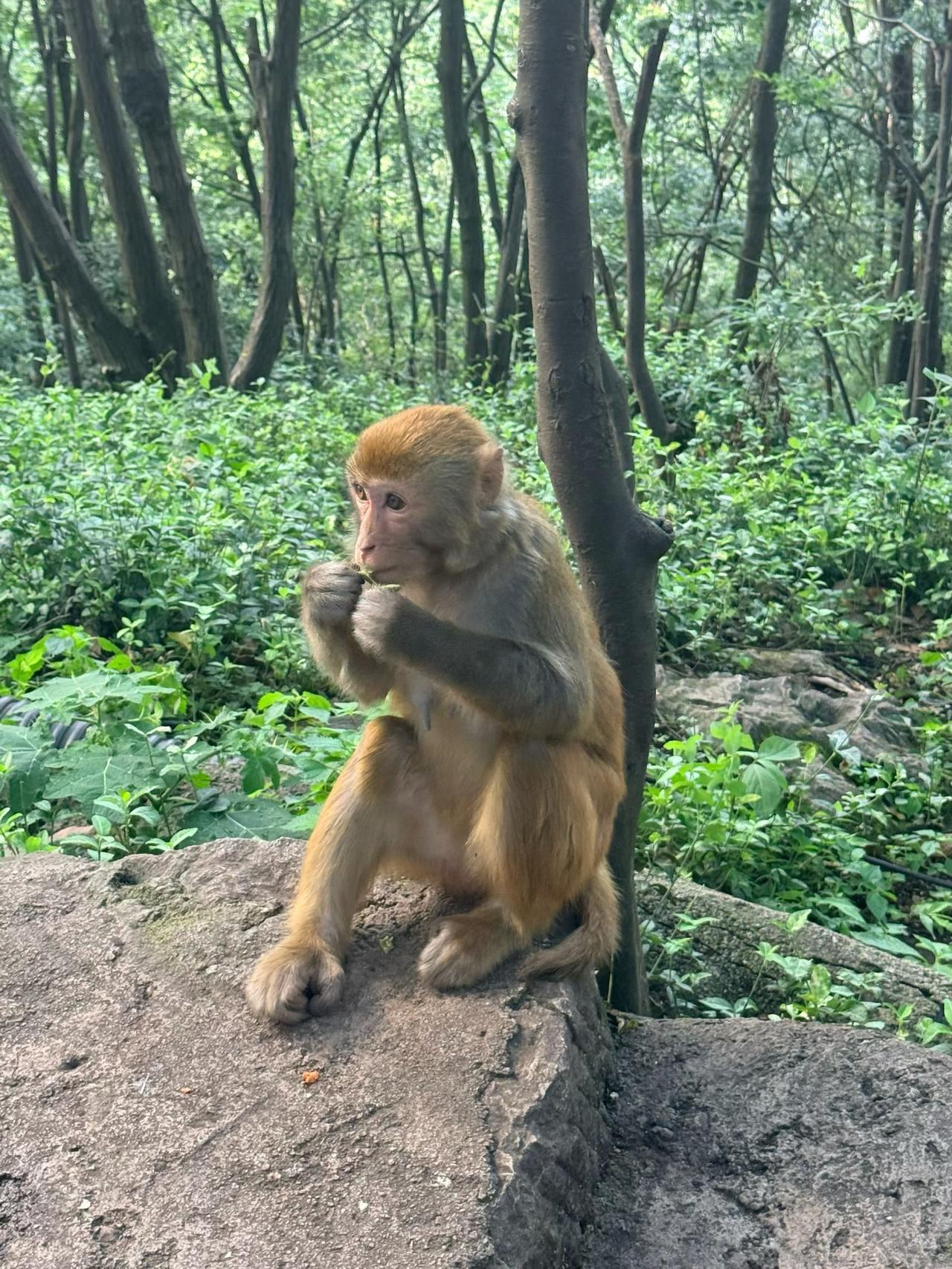 尼采说，热心是一种粗俗。

这话听着刺耳，但细品，有道理。他说热心是对伪善权利的