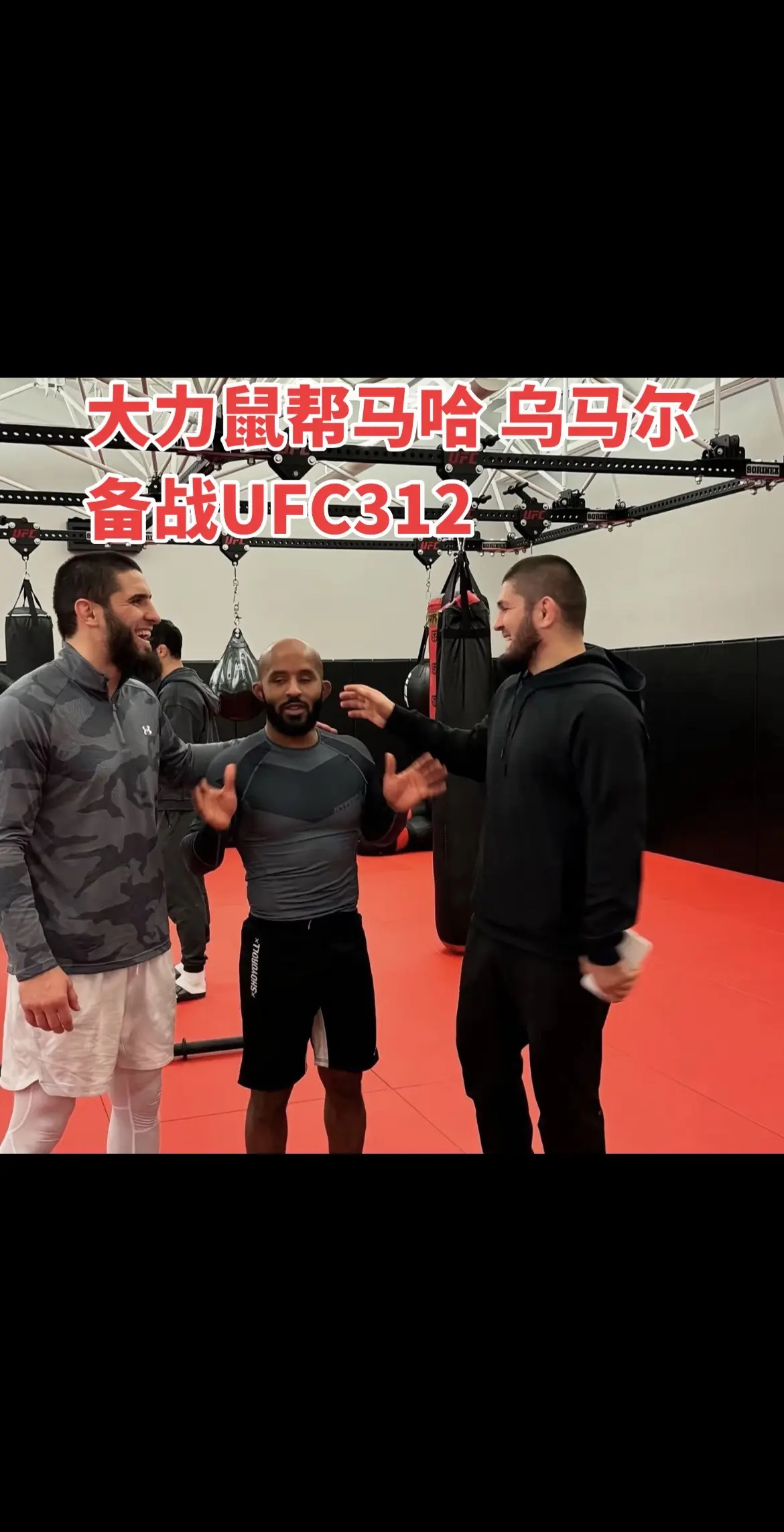 关于大力鼠，网友认知还是可以的，最后一位网友评论的笑死我了 哈哈哈哈