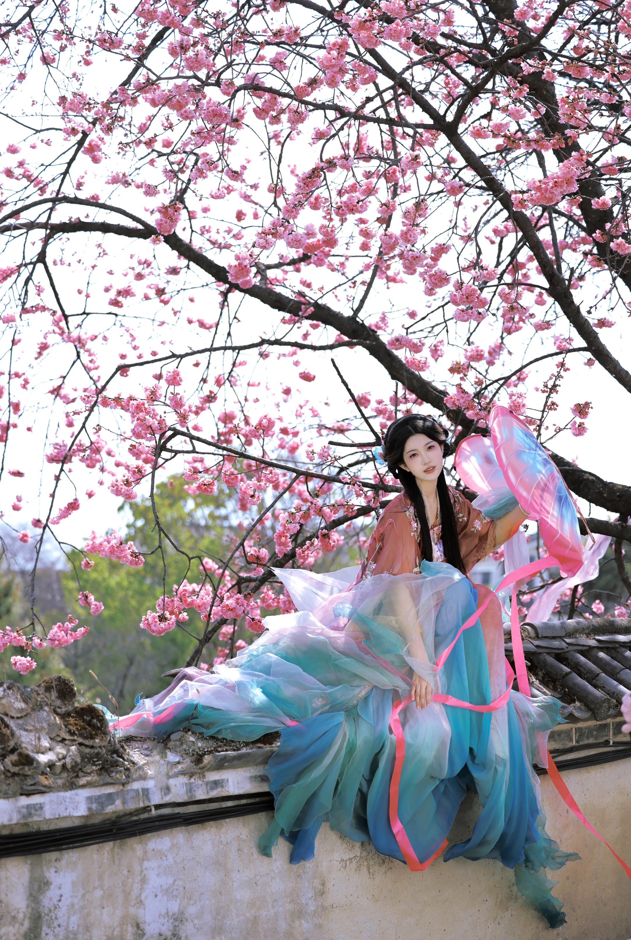 春之晓梦不觉。大理的樱花我也拍到啦～