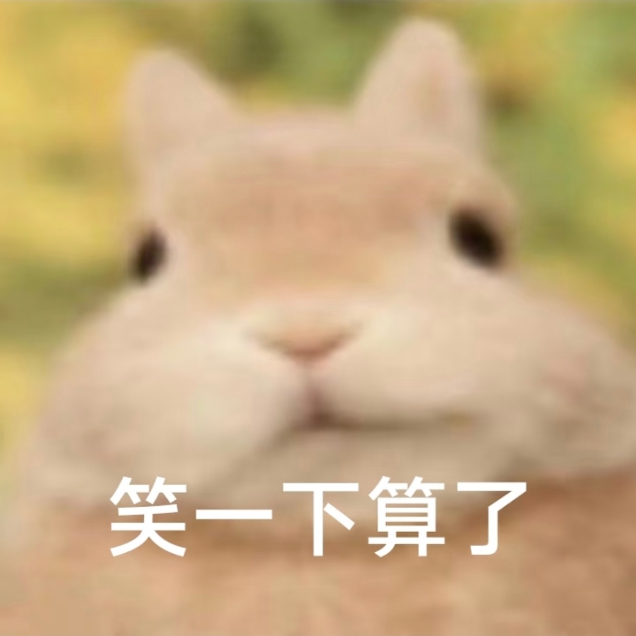 “cpj”说不出这种话，还不脱皮装你🐴呢 ​​​