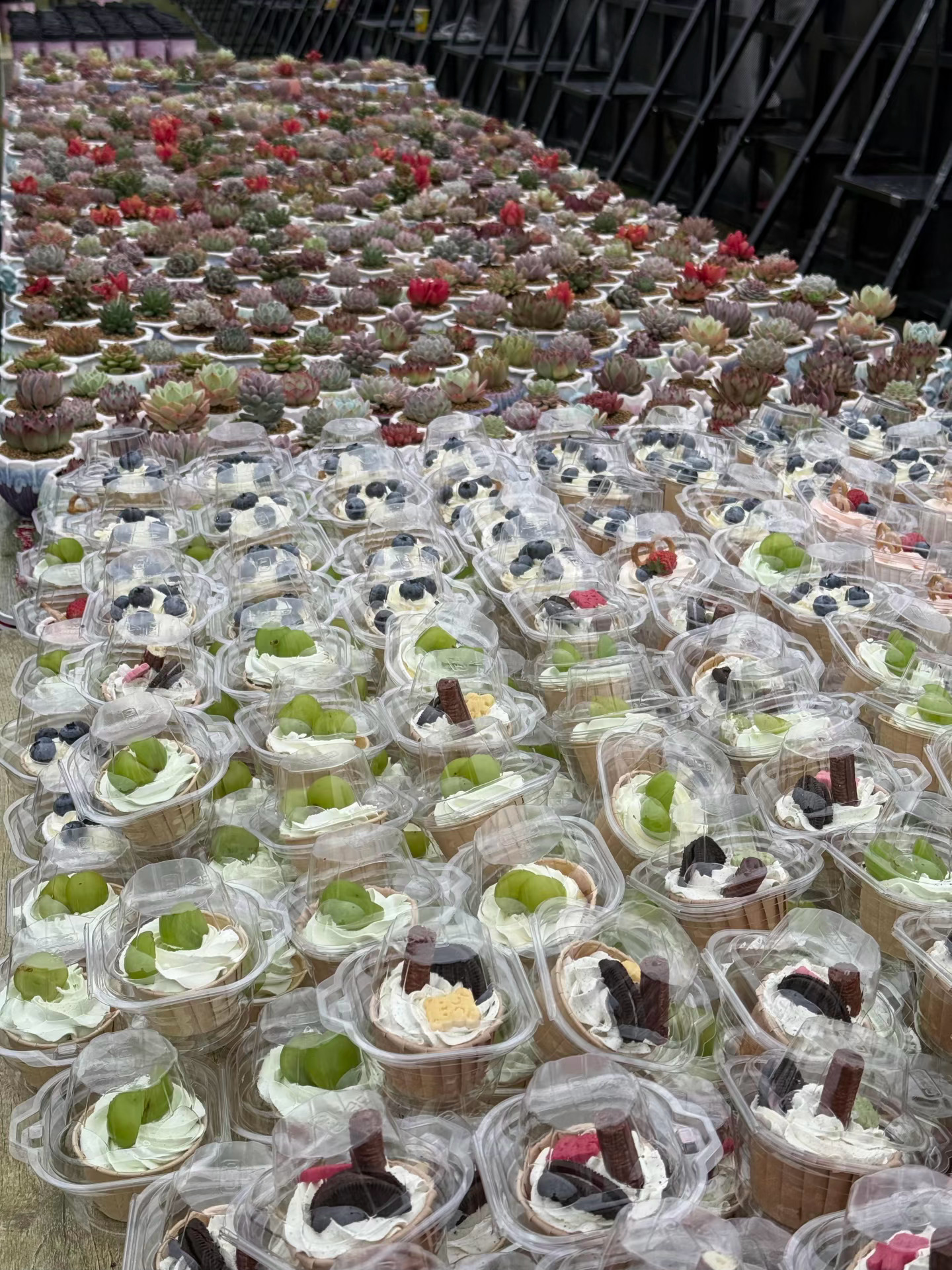 李昀锐好特别的拟应援是小林与小森林双向奔赴的爱🥹李昀锐多肉逆应援李昀锐归良辰开