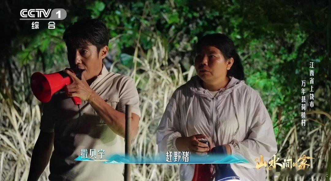 撒贝宁沙溢半夜出门赶野猪 我满脑子都是那个画面：黑黢黢的山路上，撒贝宁举着手电和