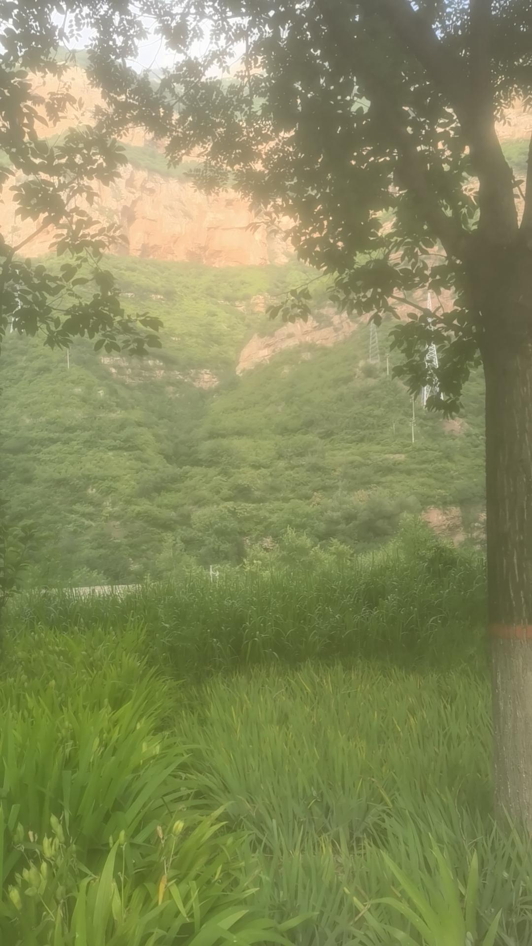 来到了忻州，这里和我对接的同行很热情，带着我到处看看，这里山美水美人更美。站在大