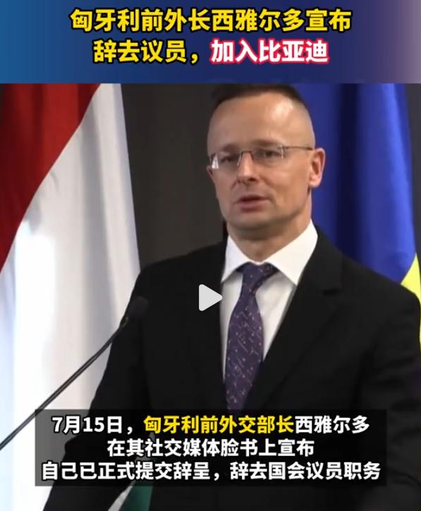 外长有啥搞头，议员也不过如此……不如还是投比亚迪去吧[大笑]。

不错，恭喜比亚