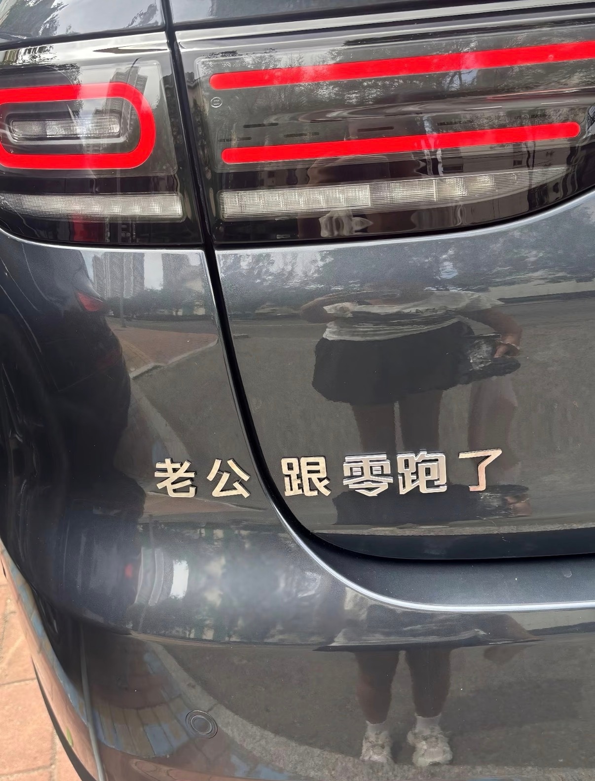 最骚气的零跑车标： 