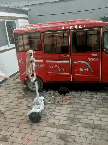 图1：怎么样？这个技术怎么样，怎么学出来的啊？
图2：最公平的分酒器，不会多也不