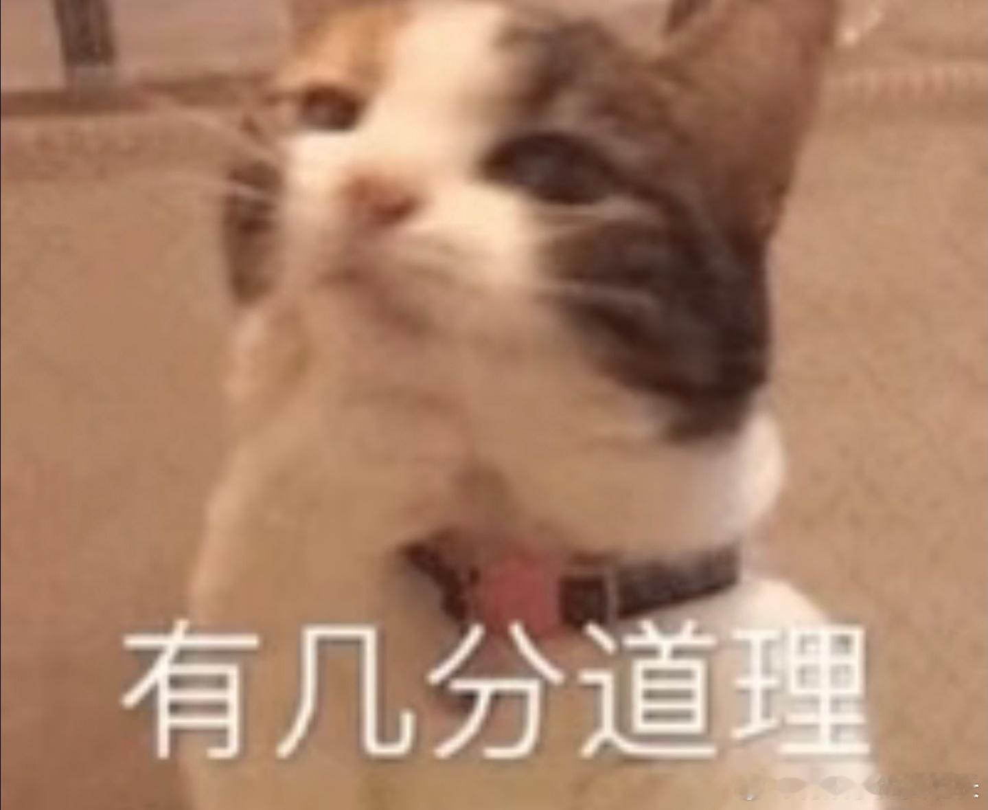 大屏时代应该保留物理按键吗个人觉得在增加多样化的娱乐性大屏程度上，应该保留原有的