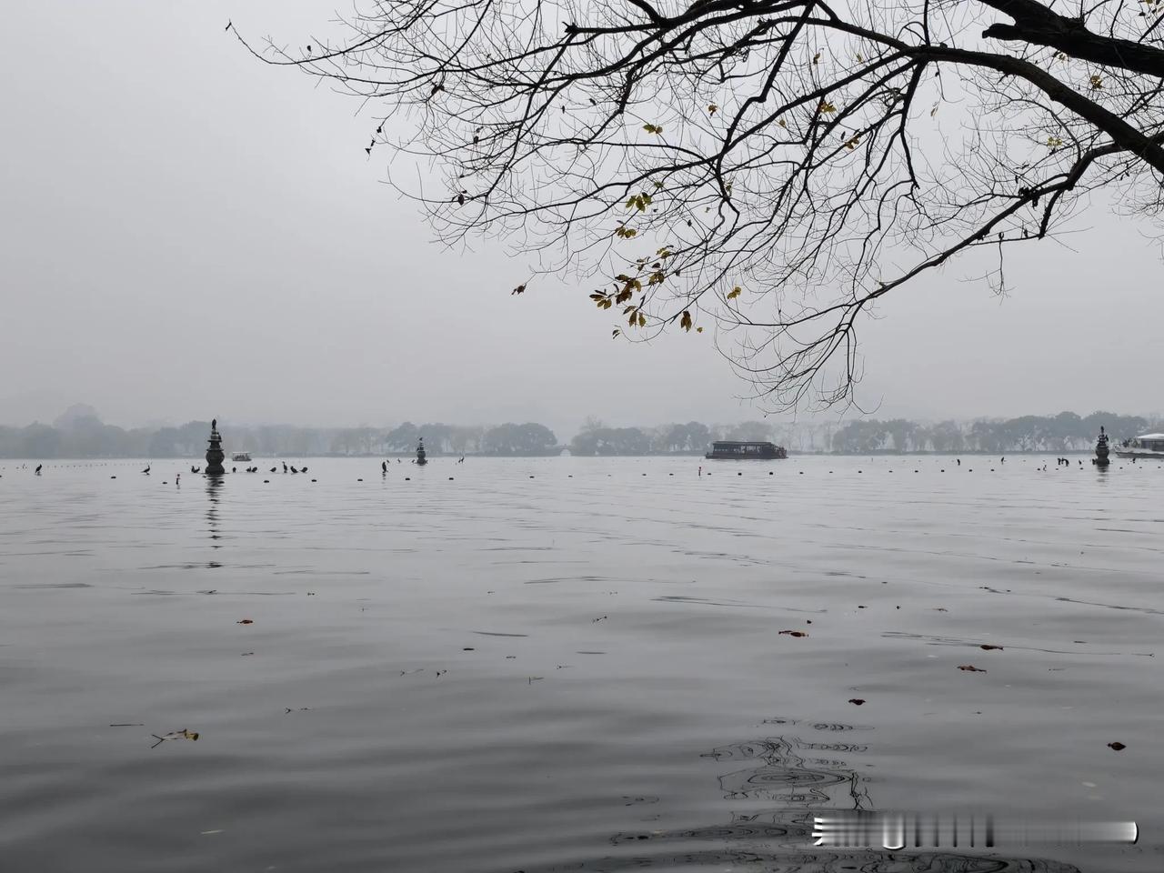 昨日小寒，天气越来越冷了，尤其是下午，太阳落山后，寒气就跟涨潮似的漫上来，顿觉寒