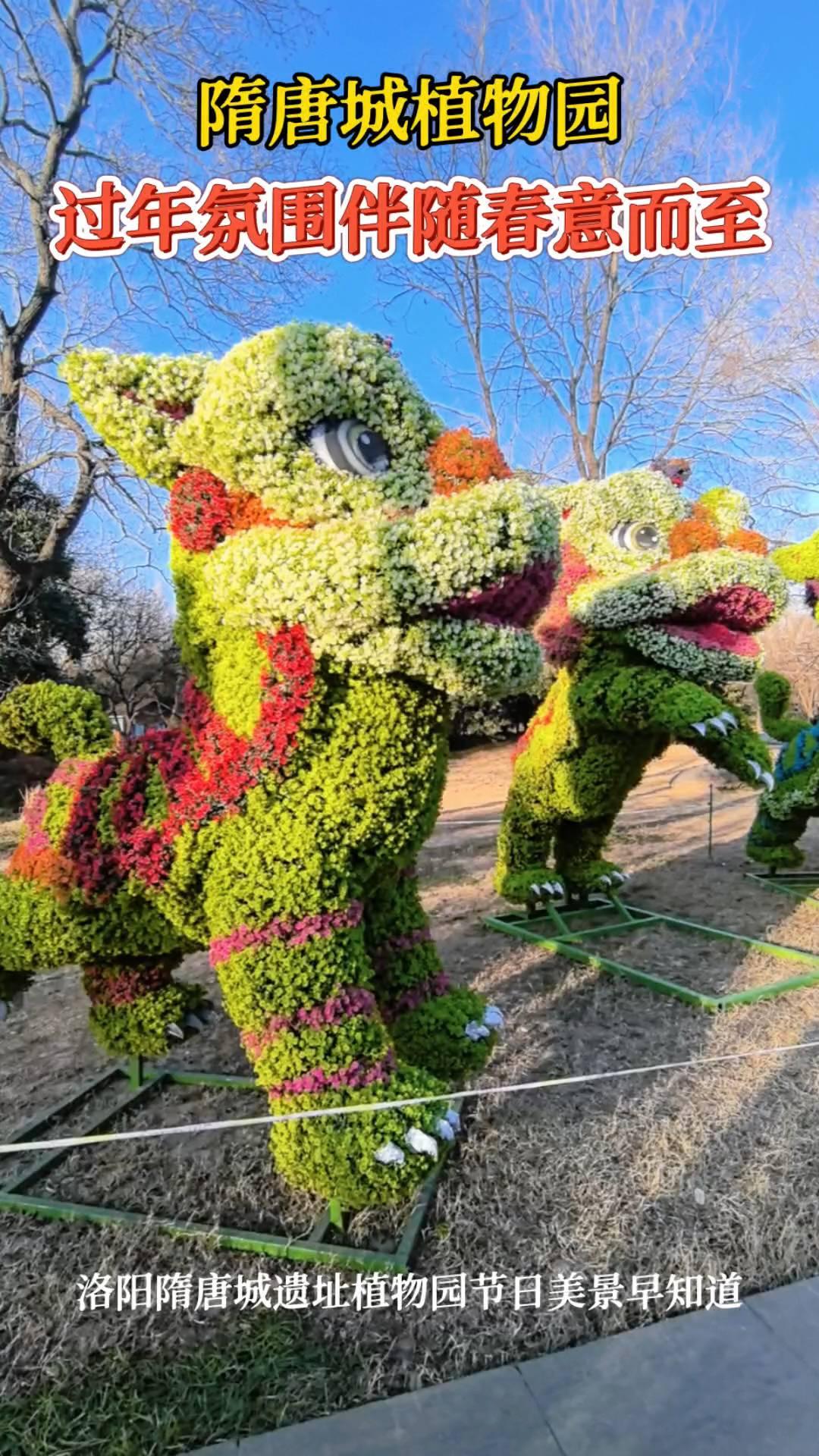隋唐城植物园，过年氛围伴随春意而至。
洛阳隋唐城遗址植物园节日美景早知道。