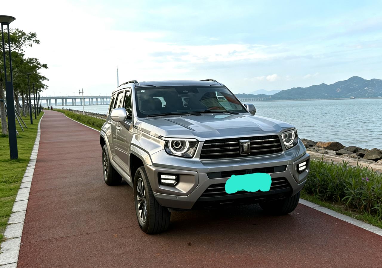 首先坦克700是一台混合动力车，就早些年的话是不交购置税的，因此3.0tv6发动