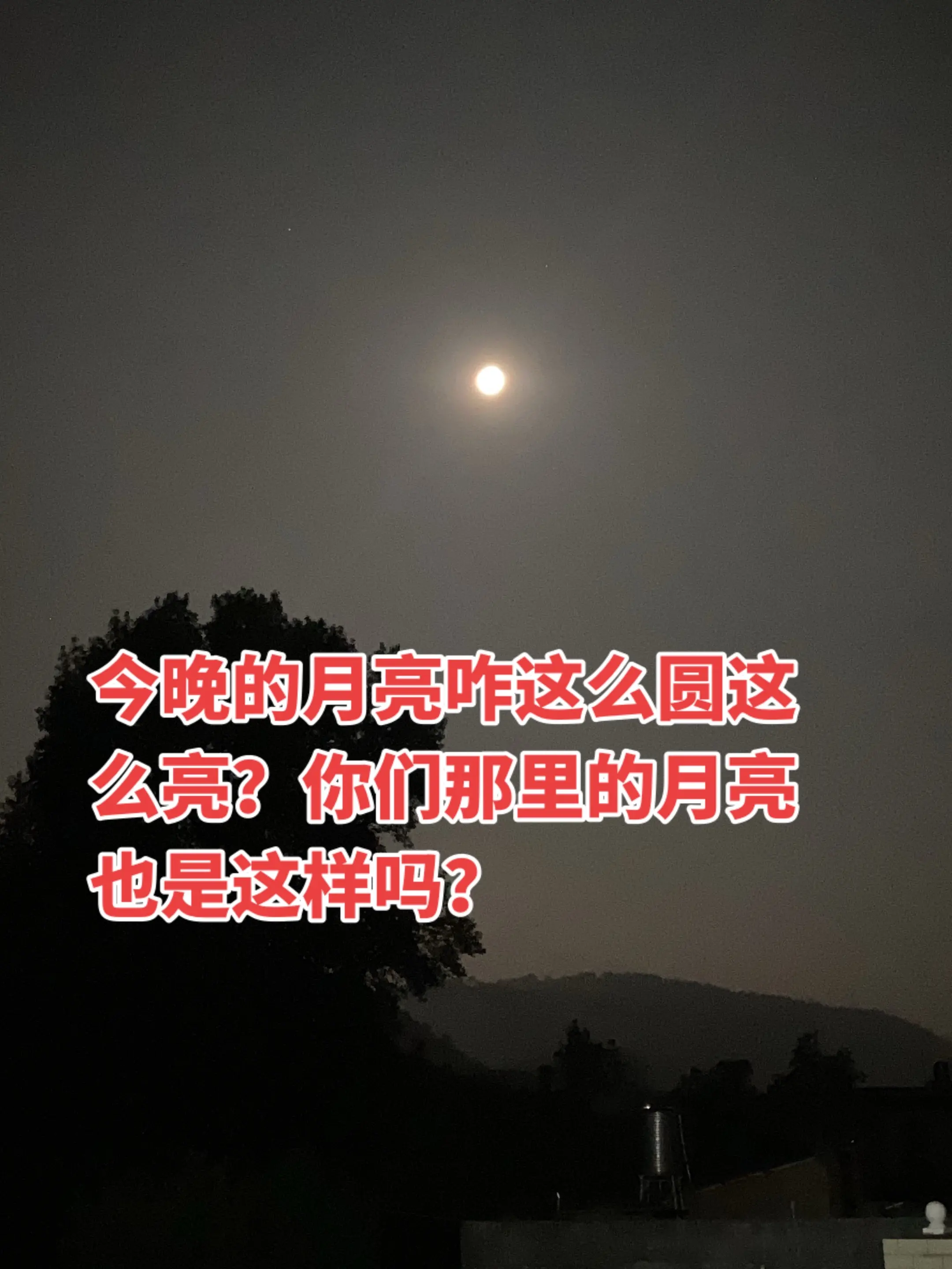 满月 明月不照离别人 乡村月夜