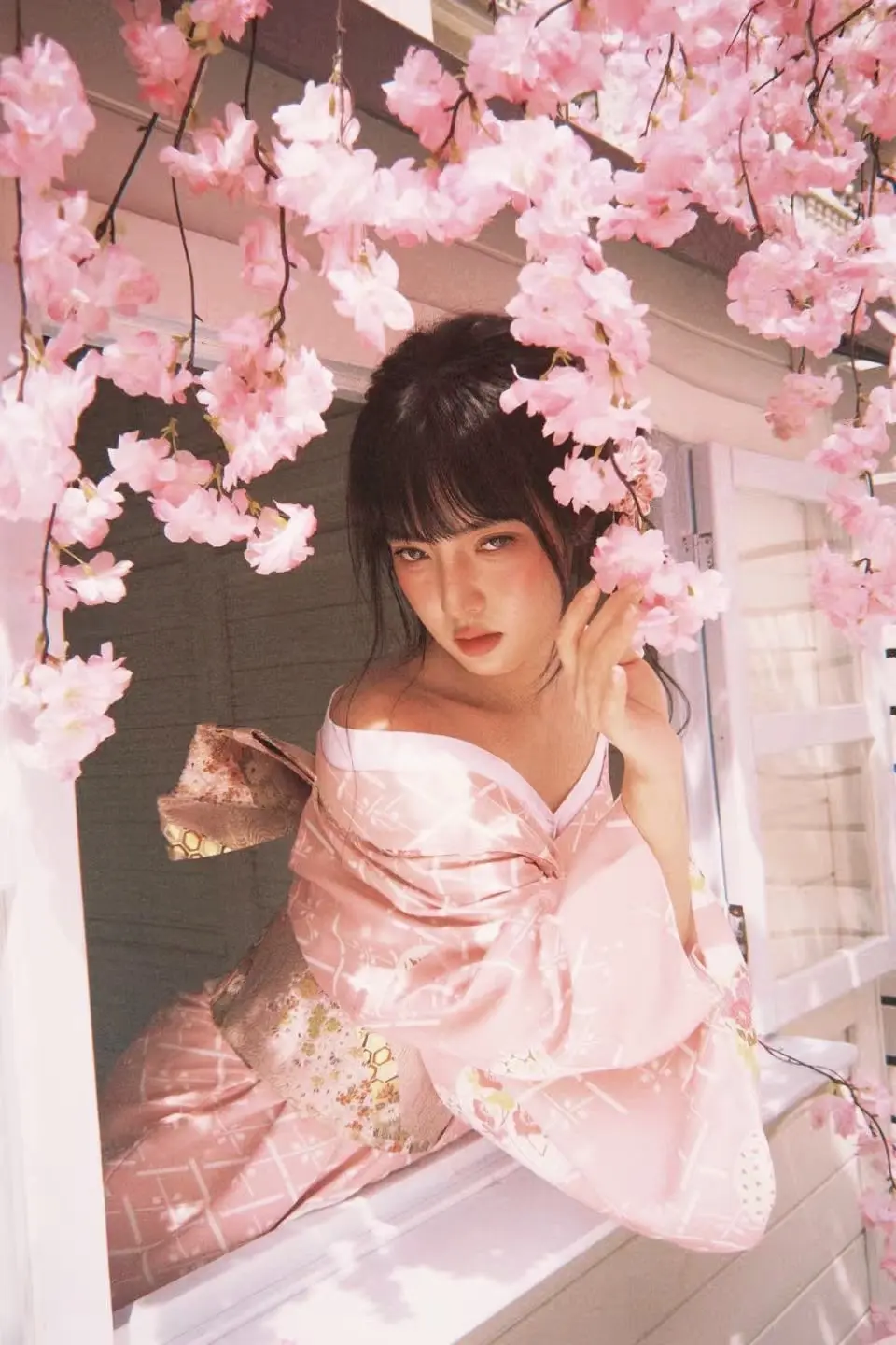 樱花树下 我们终会相见🌸。