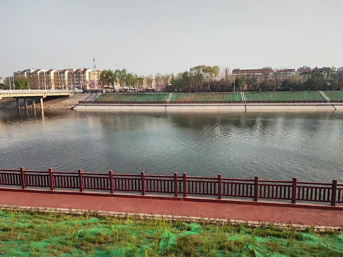 肌张力障碍药物治疗ABCD 治疗肌张力障碍常用的药物为ABCD，A安坦...