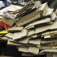 走街串巷的流动散户，回收纸壳、塑料、废铁等基础品类，毛利仅5%-15%，风吹日晒