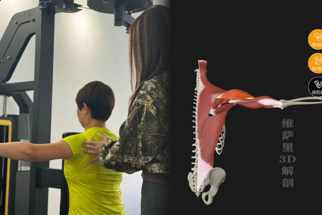 吉林市女健身教练｜蝴蝶机反向飞鸟技巧