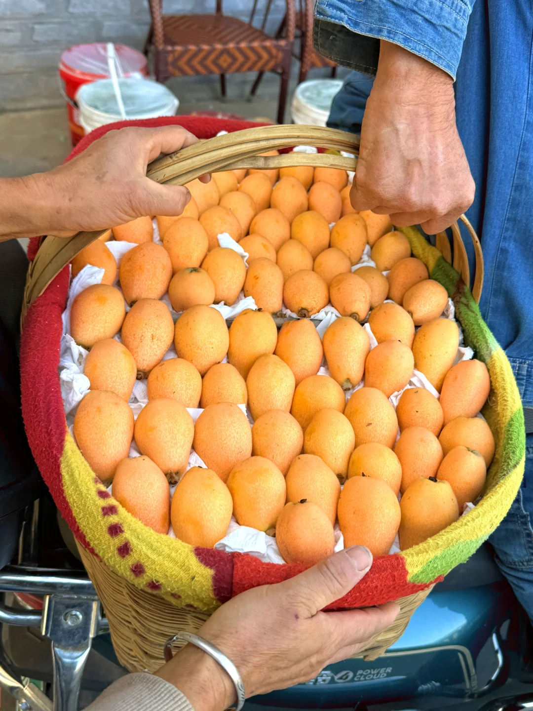 太疯狂了！这一提箩1000块😂，几个人争着要！