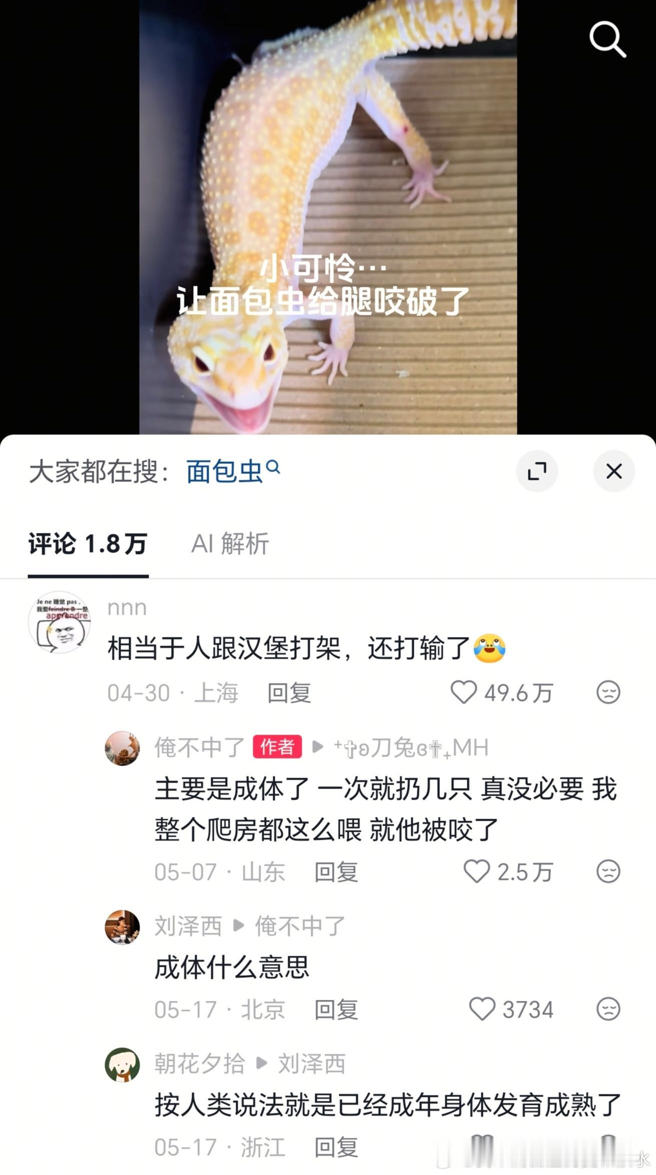 原来面包虫的攻击力不是0 ​​​