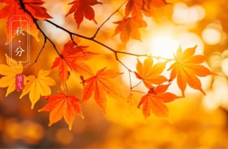 今天9月23日，秋分，农历八月十三。
风一吹，已经是实打实的秋意了。
这天太阳走