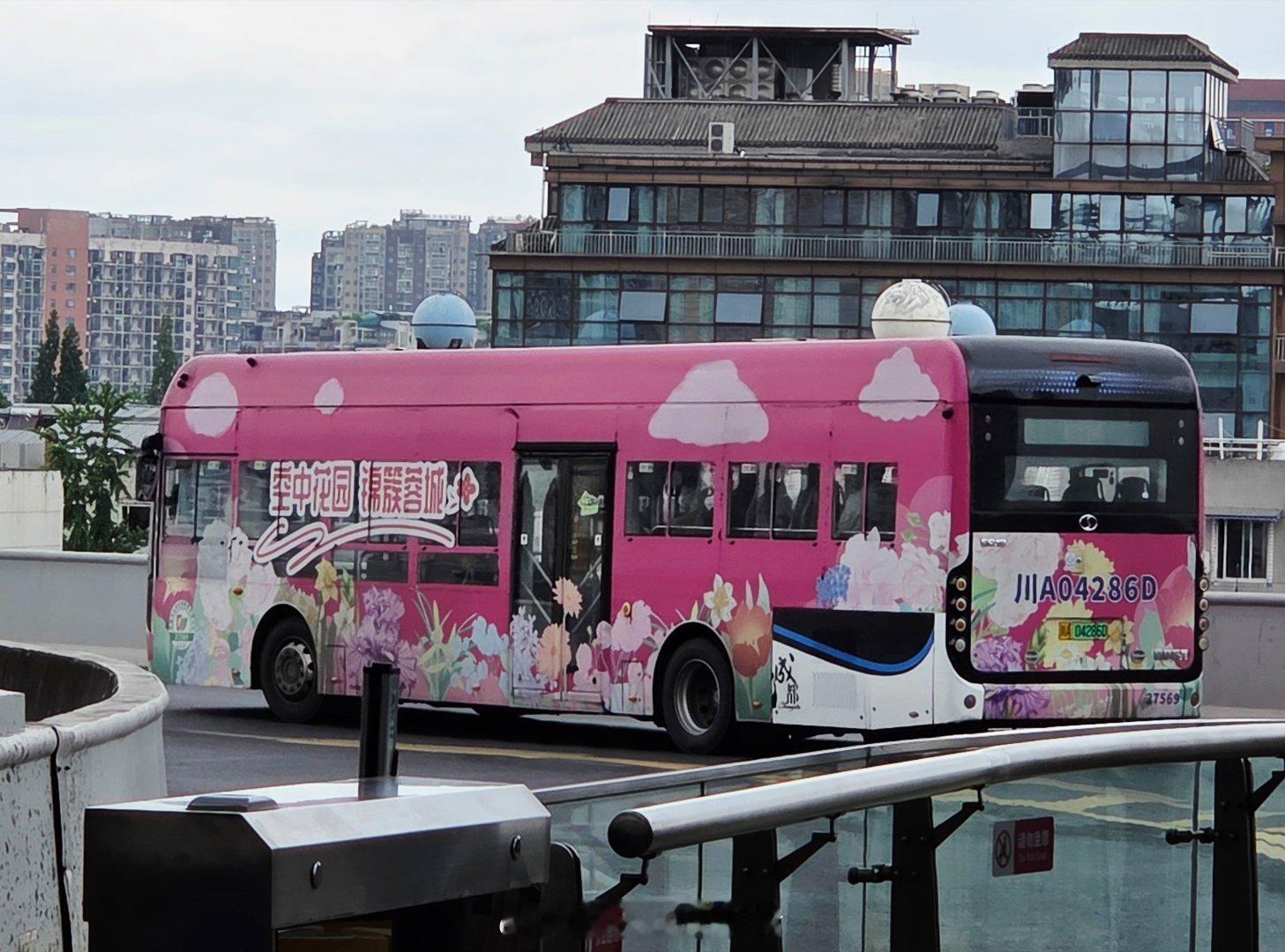 成都街拍城市公共交通摄影这里是成都成都公交能有多可爱手机摄影爱好者街拍成都公交的