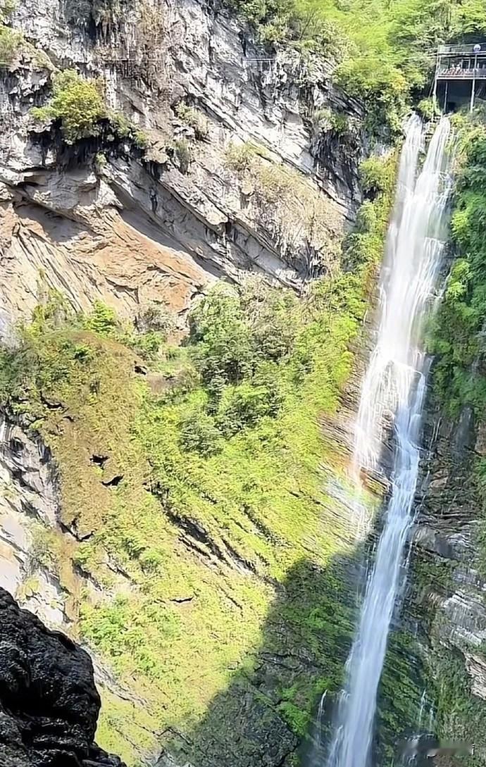 一声“没绑紧”没能救命！四川网红秋千夺命，同类事故频发太痛心
 
明明提前大喊装