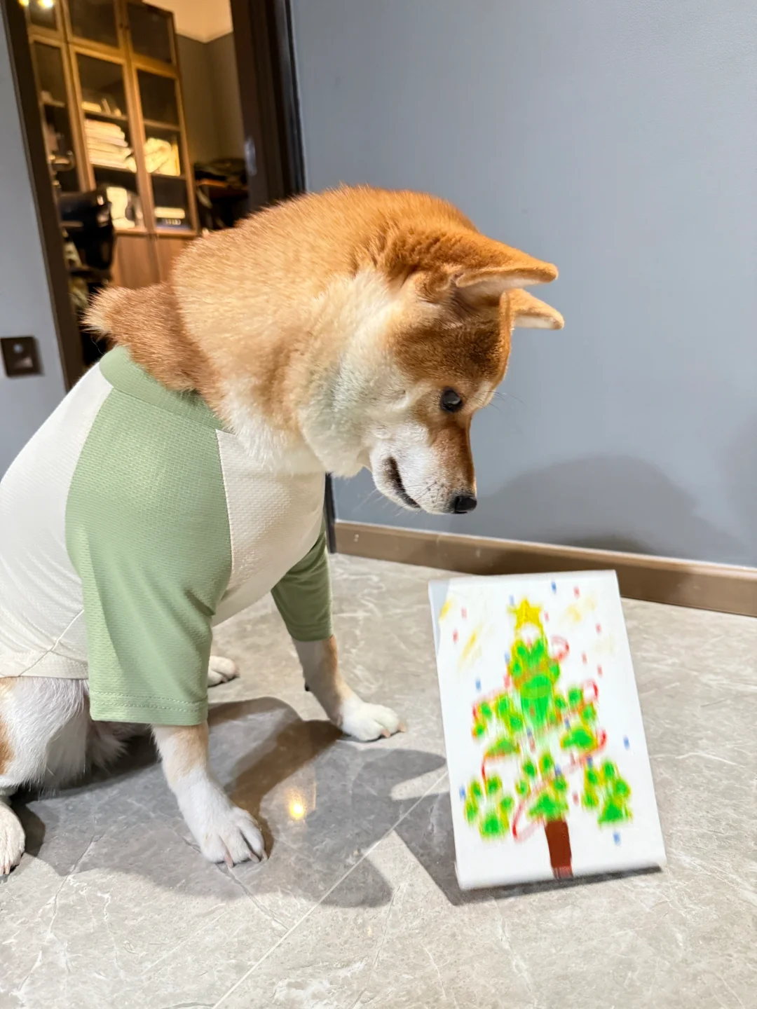 人，你喜欢我的🐾圣诞树吗？🎄