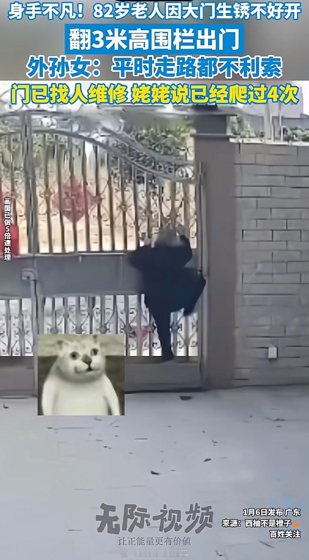 82岁外婆翻3米高围栏出门走路不是很利索，但爬高爬底那是溜的一批身手比我都矫健。