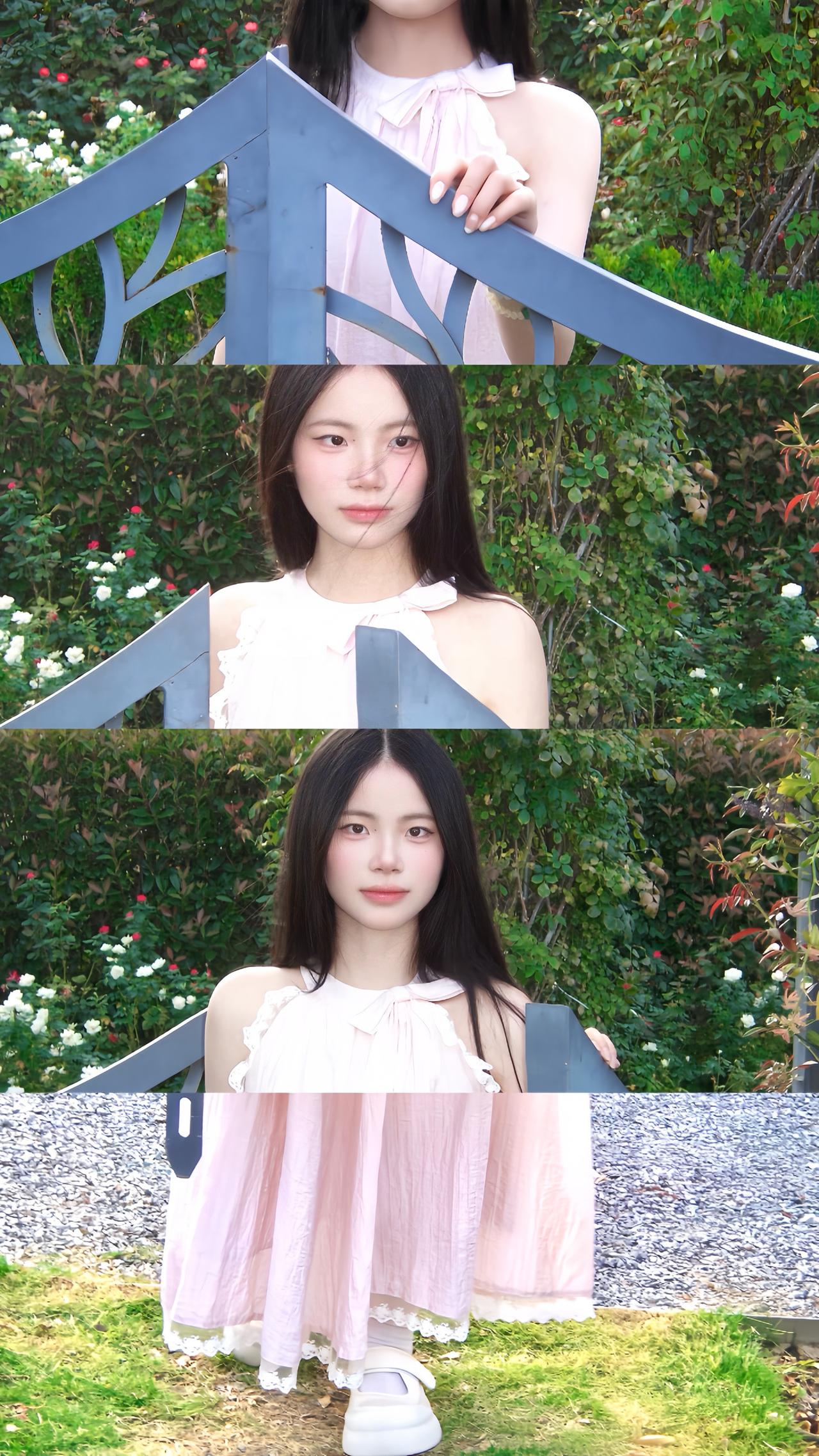绿野仙踪
