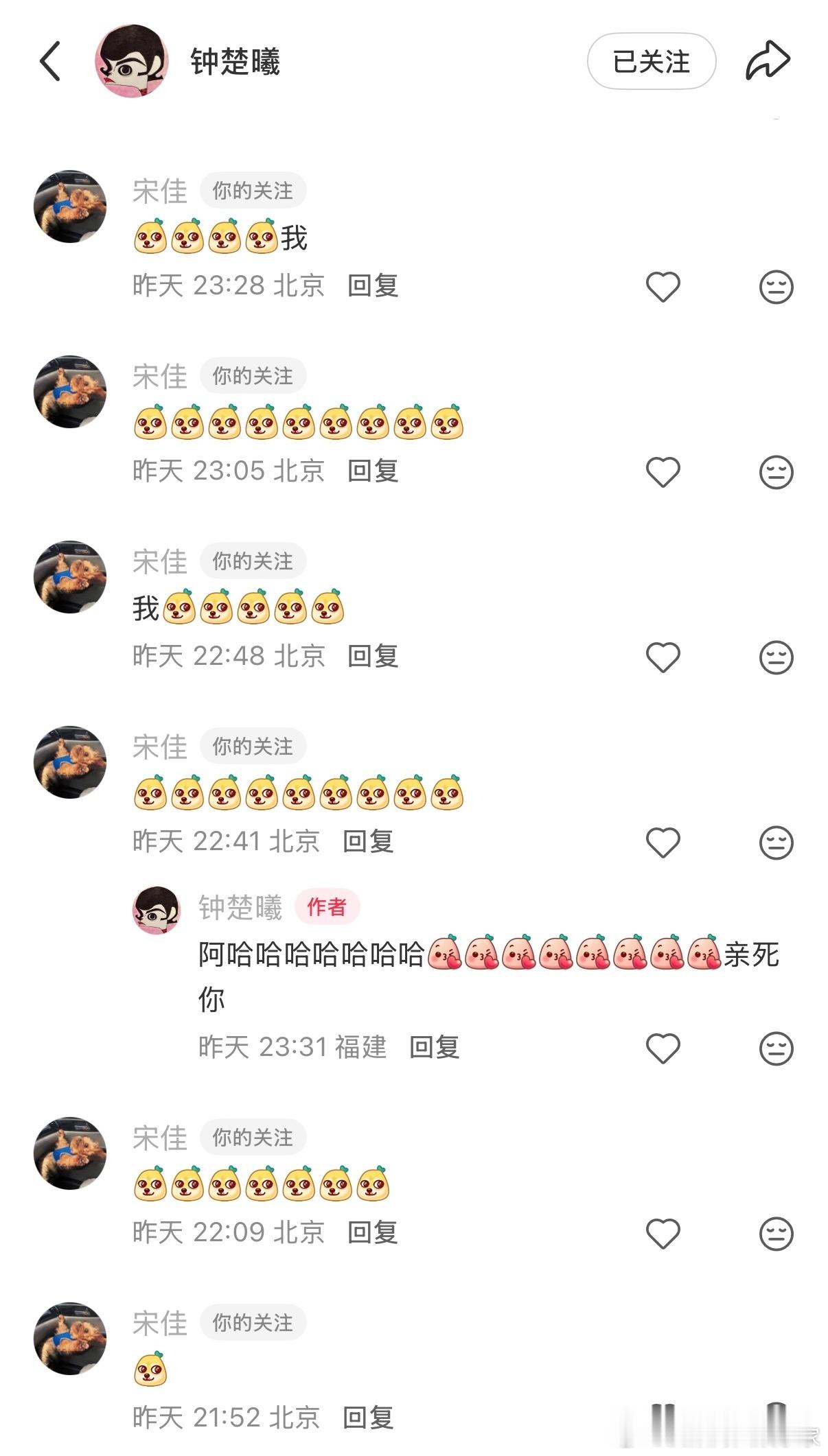 宋佳和钟楚曦怎么这么好嗑！我怀疑宋佳根本没喝中药！！钟楚曦已经走不出铁梅了钟楚曦