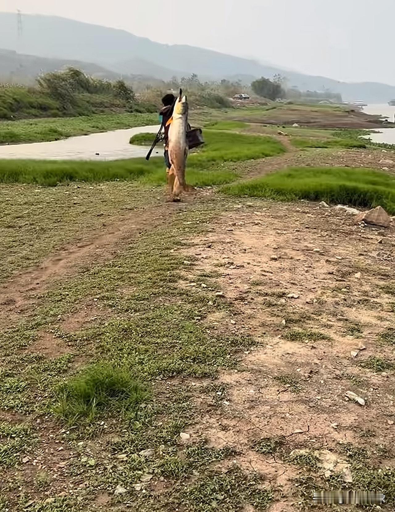 目测多少斤？