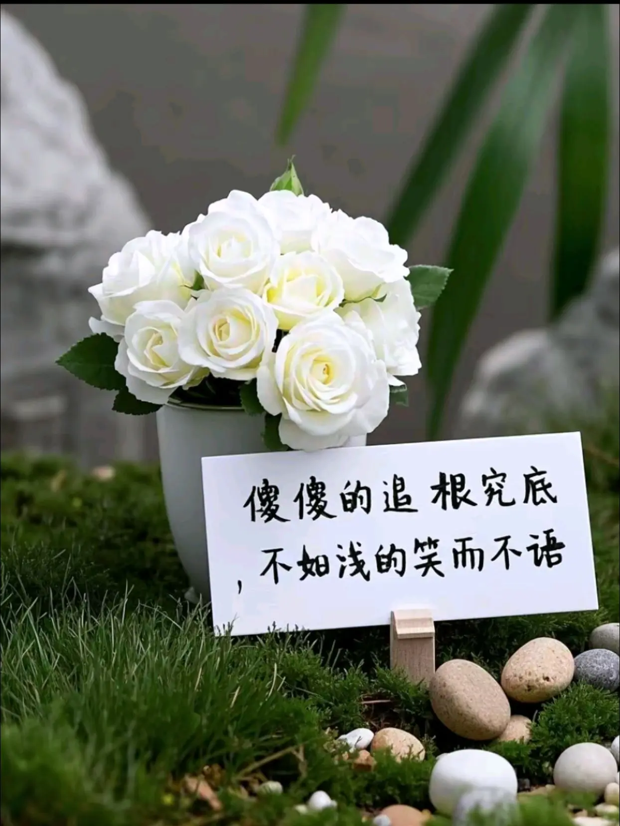 从前，傻傻的追根究底,如今，浅浅的笑而不语。