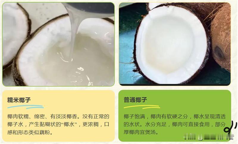 一颗卖近百元！是普通椰子10倍，国产“糯米椰”终于突破育苗难关
 
大家平时买个