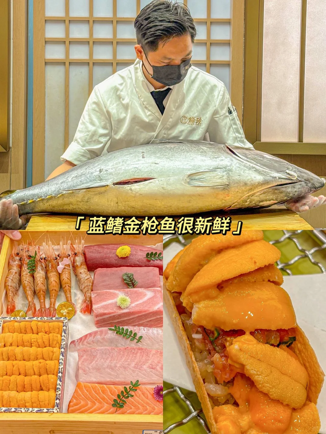 Omakase初尝试！食材亲测够新鲜