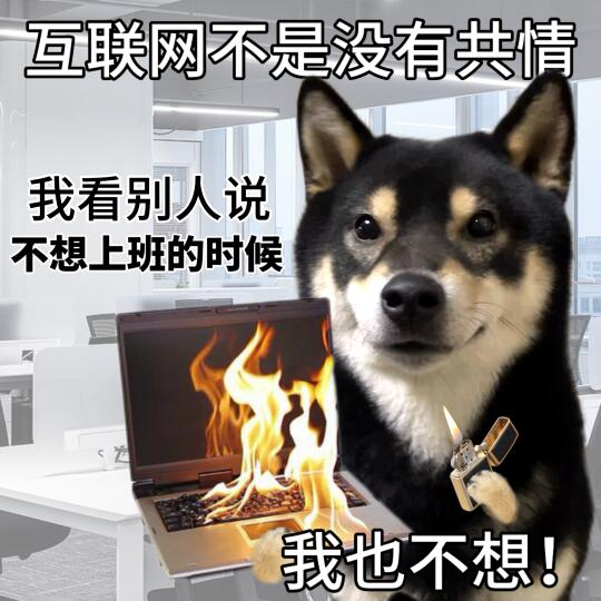 表情包|一上班，所有的快乐都和我说白白
